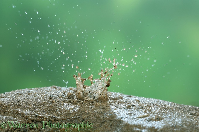 A water drop kicking up sand and dirt as it strikes the ground