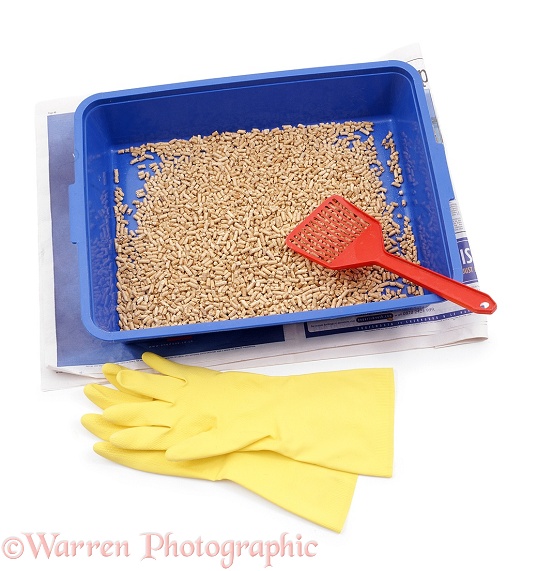 Cat litter tray with wood-based litter, scoop and rubber gloves, white background