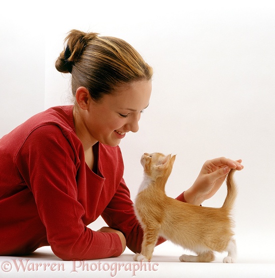 Owner, Kathryn, stroking ginger kitten, Red, 8 weeks old, white background