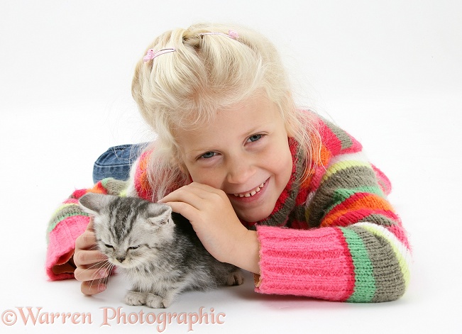 Siena with silver tabby kitten, white background