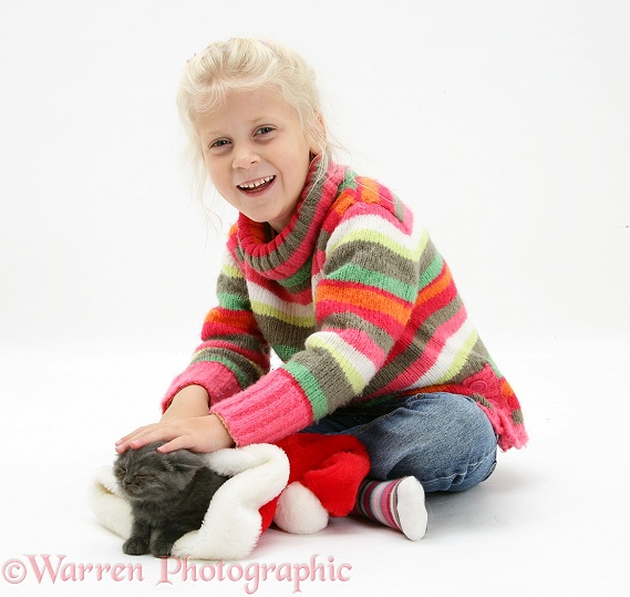 Siena with grey kitten in a Father Christmas hat 1, white background