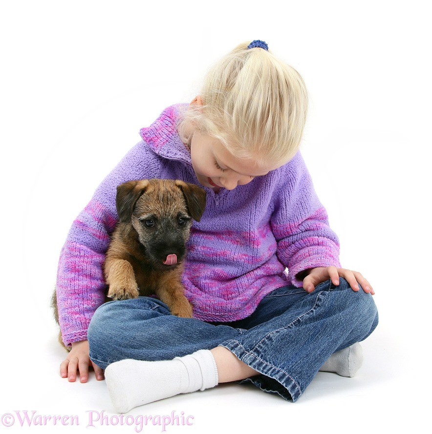 Siena (6) with Border Terrier bitch pup, Kes, white background