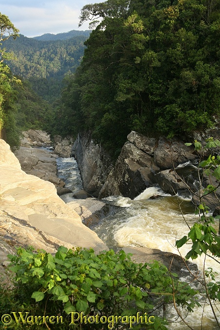 Waterfall in Ranomafana National Park.  Madagascar
