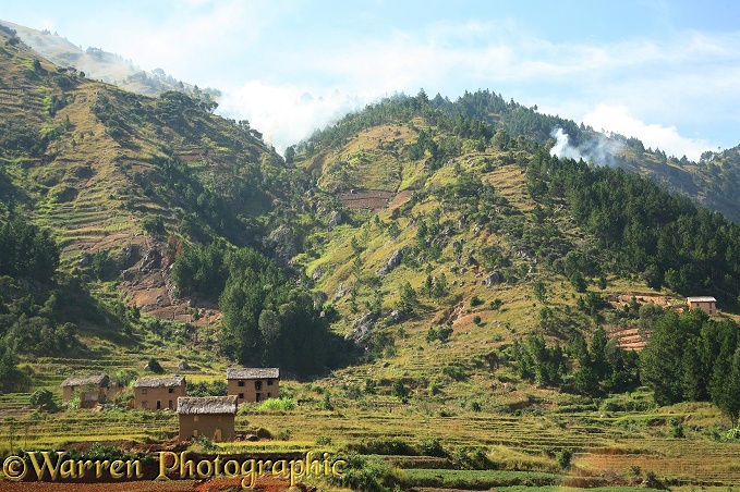 Agricultural scene with rice paddies, showing slash and burn in progress on higher hillsides, central Madagascar