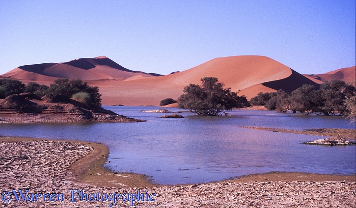 Sossusvlei full of water after the exceptional rains of 1997, Namibia