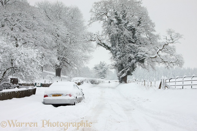 The New Road, Albury, with snow cover.  Surrey, England