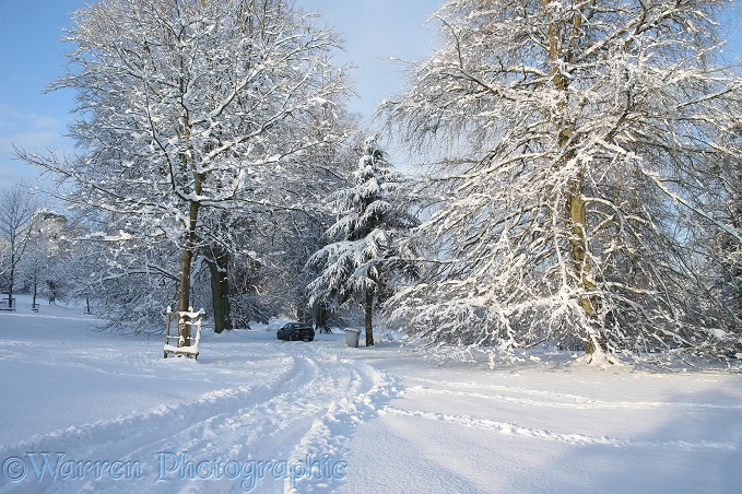 Albury Park snow scene.  Surrey, England