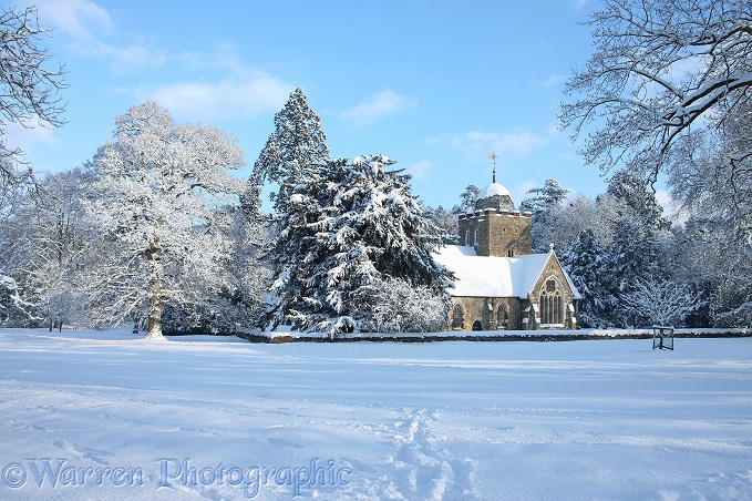 Albury Saxon church with snow.  Surrey, England