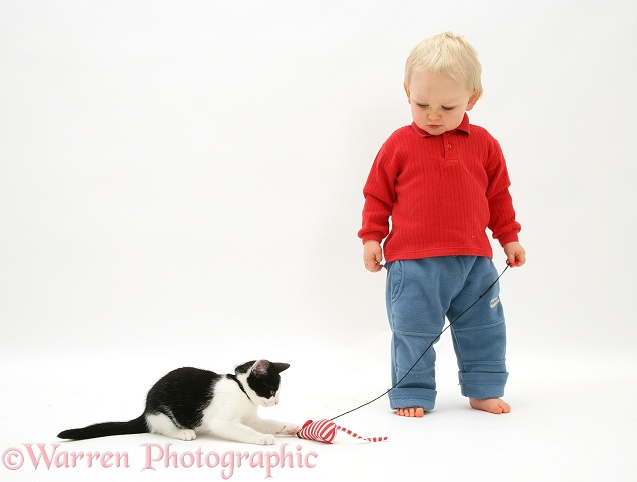 Toddler with black-and-white kitten and catnip mouse, white background