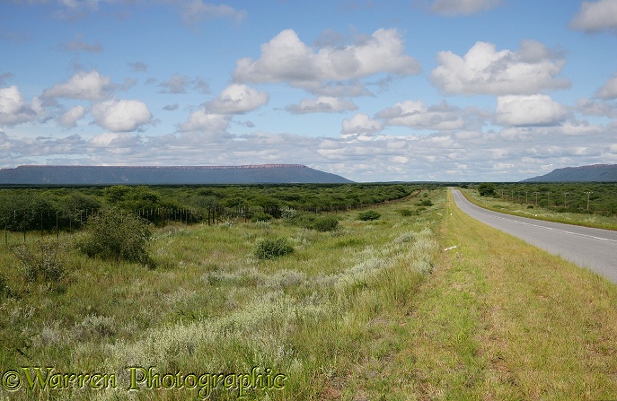 Waterberg Plateau viewed from the west. Namibia