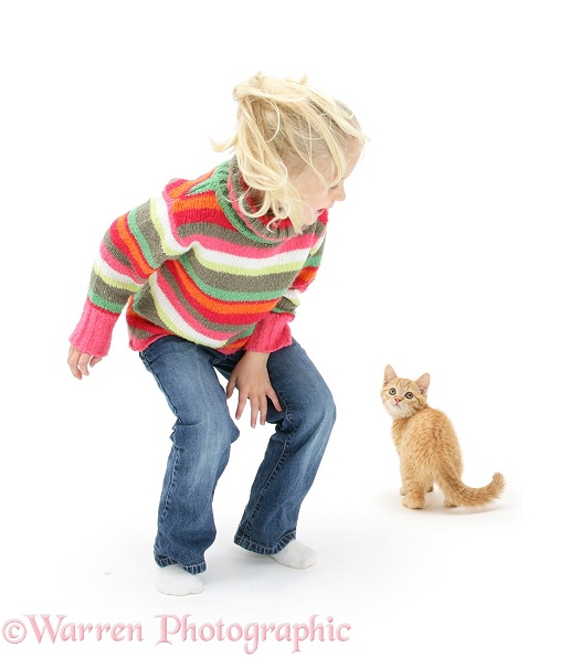 Siena (5) leaping about and scaring a ginger kitten, white background