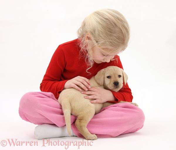 Siena (7) with Yellow Labrador Retriever puppy, 7 weeks old, white background
