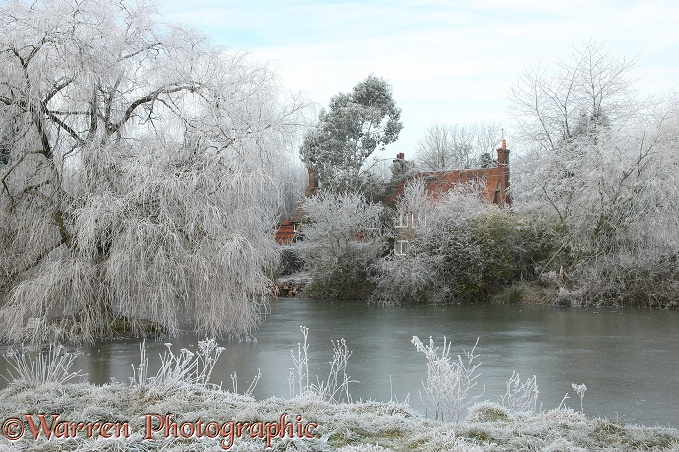 Ockley frosty winter scene.  Surrey, England