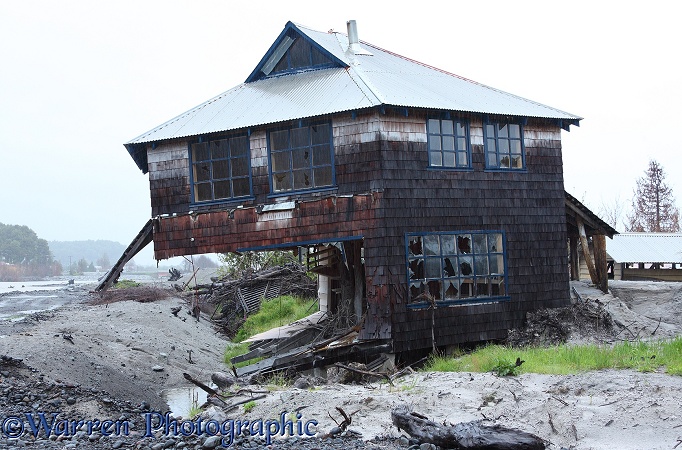 House, wrecked by volcanic ash.  Chaiten, Chile