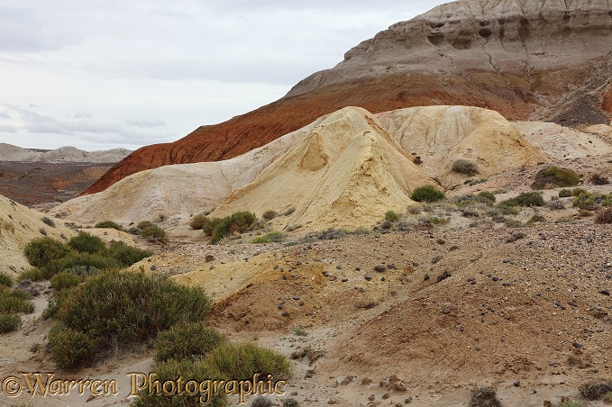 Colourful arid hills.  Argentina