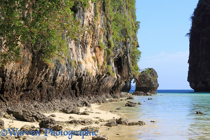 Limestone cliffs and tropical beach.  Koh Phi Phi, Thailand