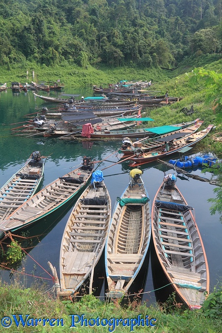 Long-tail boats.  Khao Sok, Thailand