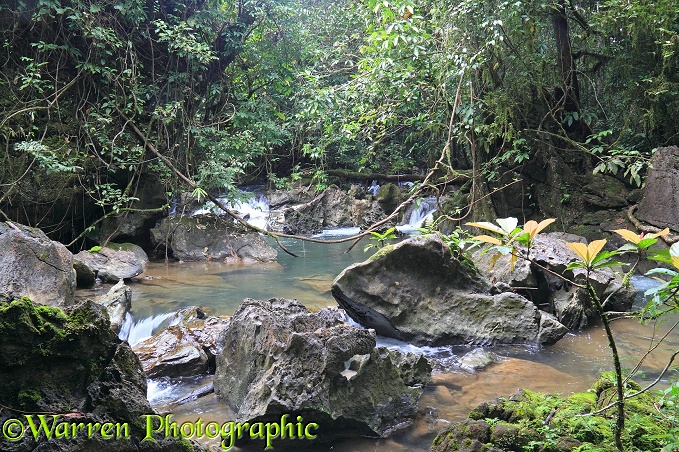 River in tropical forest.  Khao Sok, Thailand