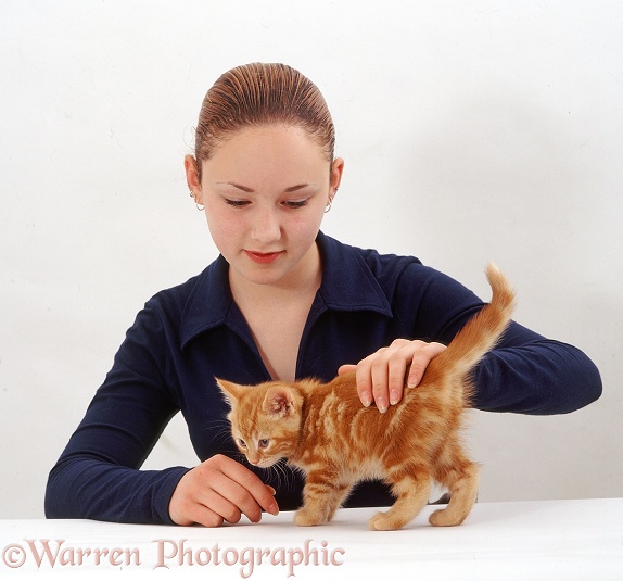 Owner, Kathryn, stroking ginger kitten, white background