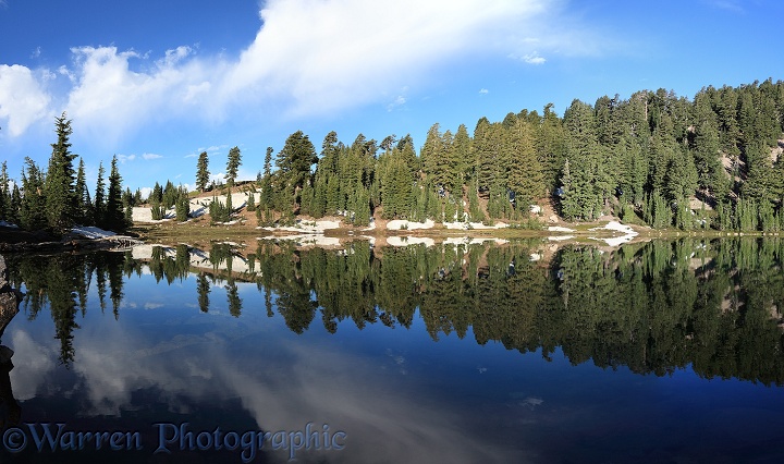 Trees reflected in a lake.  Lassen Volcanic National Park, California