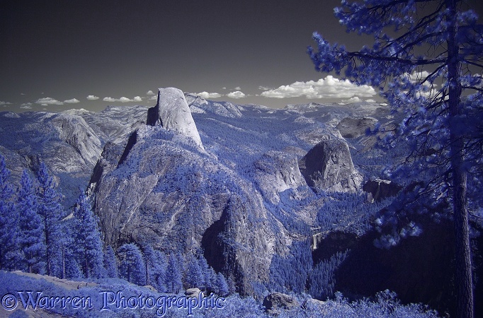 View of Half Dome in near infrared.  Yosemite, California, USA