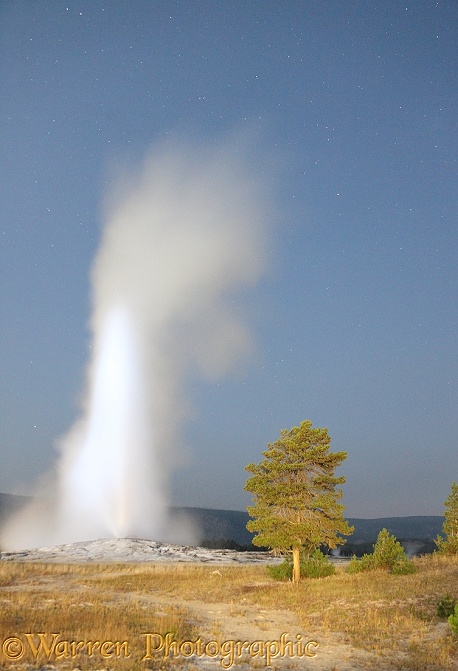 Old Faithful geyser at night.  Yellowstone, USA