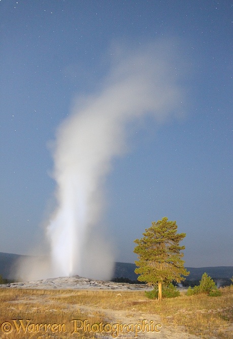 Old Faithful geyser at night.  Yellowstone, USA