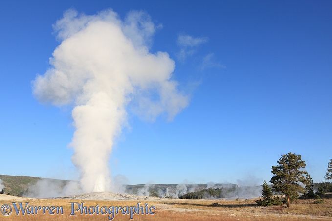 Old Faithful geyser.  Yellowstone, USA