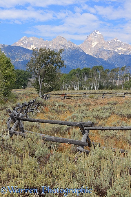 Old style Buck and Rail fence.  Grand Teton National Park, Wyoming