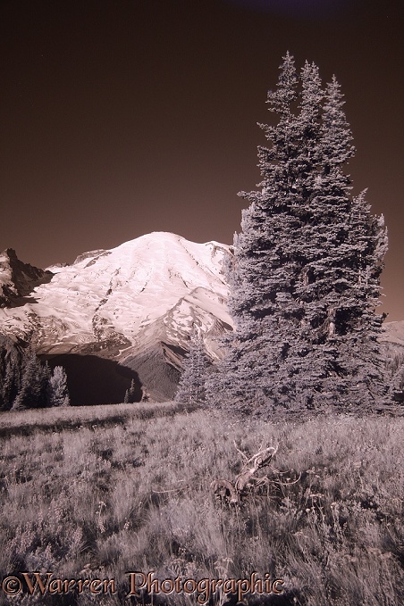 Mount Rainier photographed in near infrared.  Washington State, USA