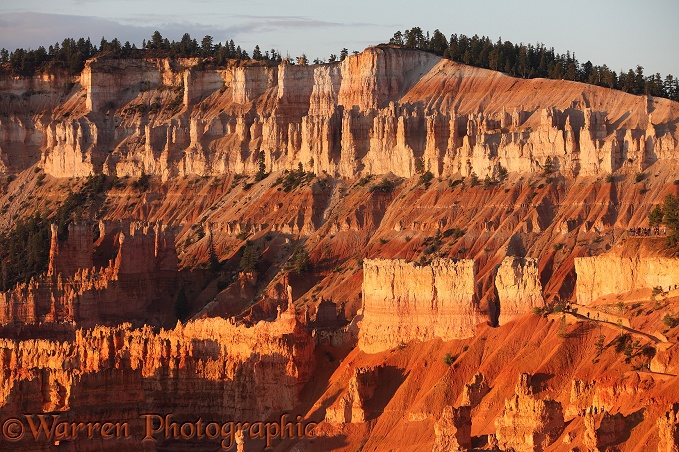 Pinnacles of soft sandstone, known as hoodoos.  Utah, USA
