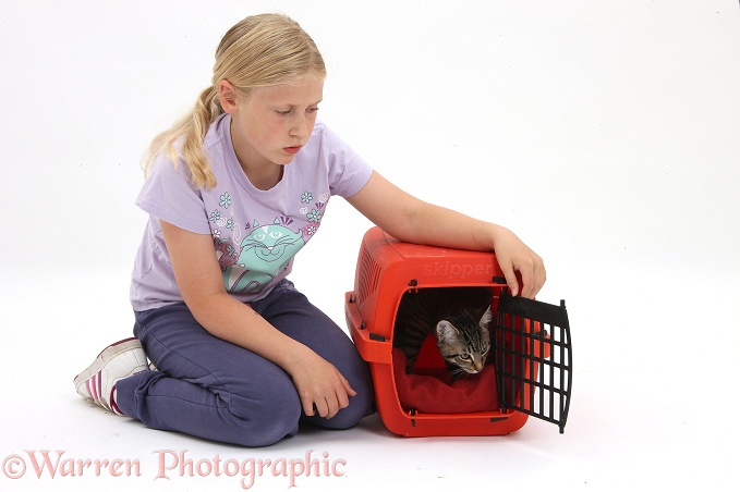 Siena letting tabby kitten, Fosset, 4 months old, out of a cat carrier, white background