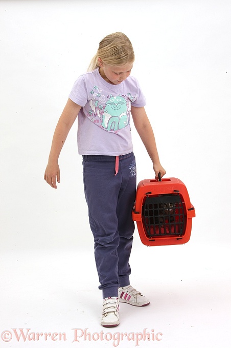Siena carrying tabby kitten, Fosset, 4 months old, in a cat carrier, white background