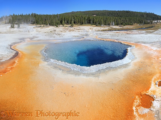 Hot spring and colourful algal mat.  Yellowstone, USA