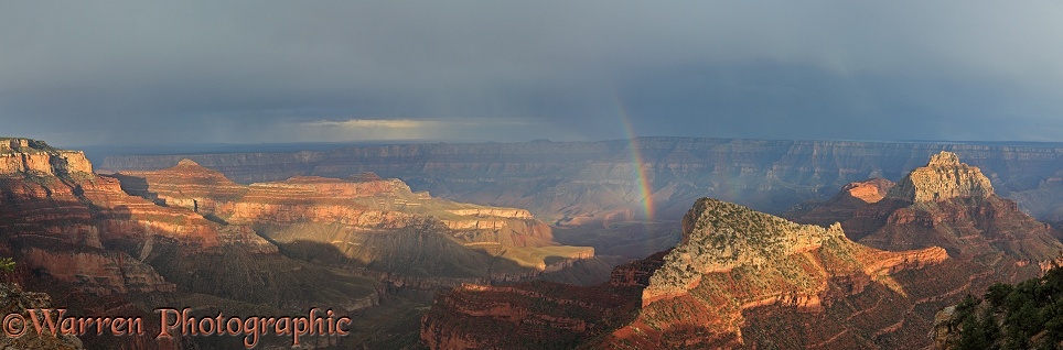 Panoramic view of the Grand Canyon.  Arizona, USA