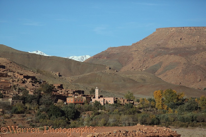 Beber village, Atlas foothills.  Morocco