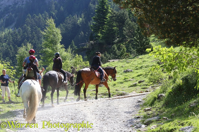 Pony trekking, French Pyrenees