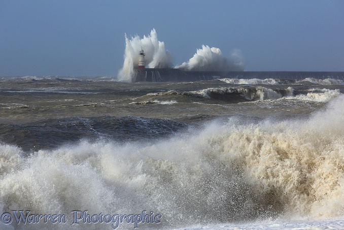 Waves breaking over lighthouse at Newhaven Harbour wall viewed from Seaford. February 2014.  Sussex, England