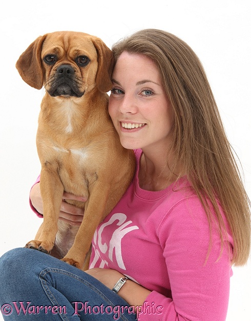 Puggle bitch, Polly, 1 year old, with her owner, white background