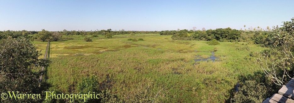 Pantanal panorama.  Mato Grosso do Sul, Brazil
