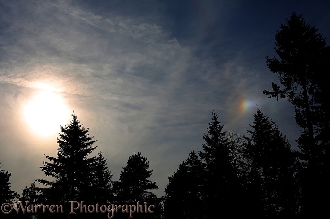 A 'mock sun' caused by ice crystals in high cloud refracting light from the setting sun