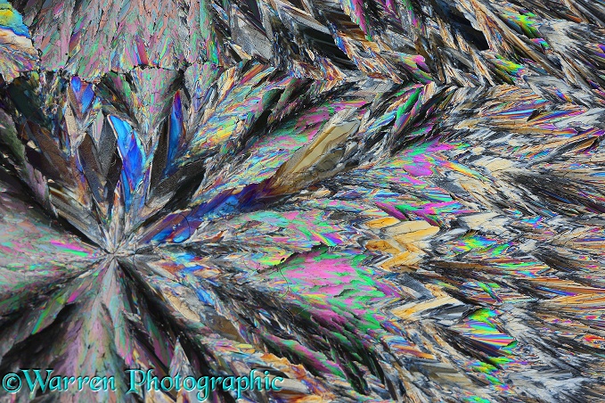 Sugar crystals viewed by polarised light