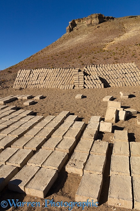 Adobe mud bricks drying and stacked ready for use.  Bolivia