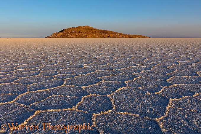 Polygon formations on surface of Salar de Uyuni Salt Pan.  Bolivia