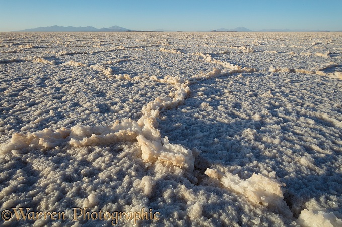 Salt crystals on surface of Salar de Uyuni Salt Pan.  Bolivia