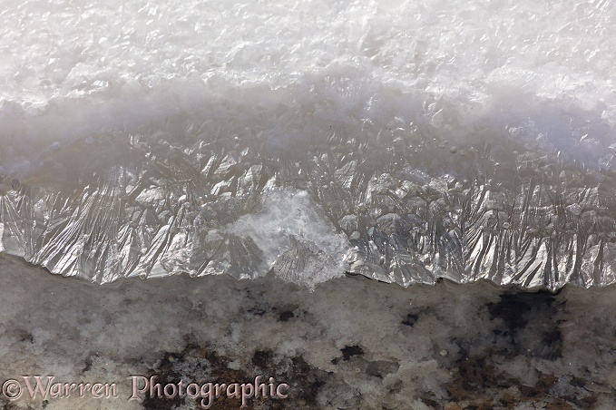 Salt crystals growing of Salar de Uyuni Salt Pan.  Bolivia