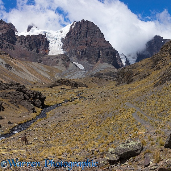 Rugged mountain scenery, Bolivia