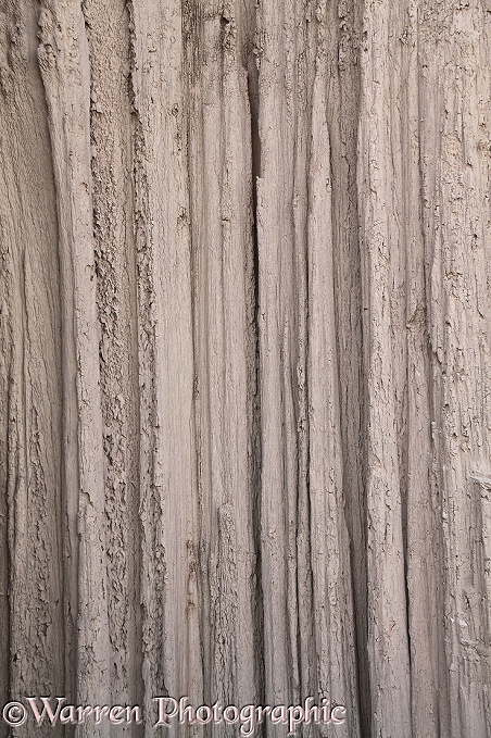 Lines on a shaft carved by rain in soft rock.  Ciudad del Encanto, Bolivia