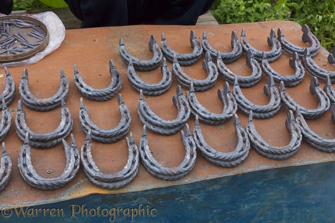 Horse shoes at the Karakol Animal Market.  Kyrgizstan