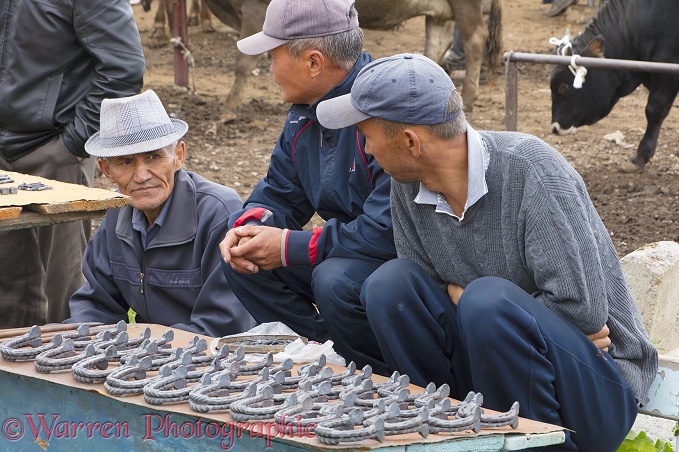 Men selling horse shoes at the Karakol Animal Market.  Kyrgizstan